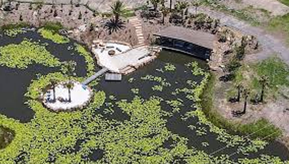 এ ছাড়া এতে ৫টি শোওয়ার ঘর, হোটেলের মতো ৫টি স্যুইট, স্পা, ঘরে এবং বাইরে আলাদা রান্নার ব্যবস্থা রয়েছে। রয়েছে গাড়ি রাখার ৪টি গ্যারেজও।