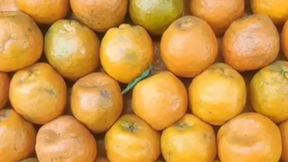 মা-ও দিনভর ব্যস্ত থাকতেন টুকিটাকি কাজ করে উপার্জন করতে। সন্ধ্যায় কাজ থেকে ফেরার পথে ছেলেমেয়েদের স্টেশন থেকে সঙ্গে নিয়ে বাড়ি ফিরতেন।