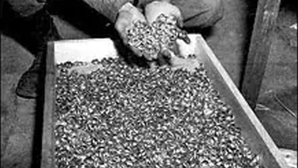 দক্ষিণ পোল্যান্ডের মিনকওস্কিইয়ে রয়েছে ওই প্রাসাদ। এই প্রাসাদ ১৮ শতকের। সাবেক প্রাশিয়ার জেনারেল ফ্রেডরিখ ভিলহেল্ম ভন সেদলিৎজ এটি বানিয়েছিলেন।