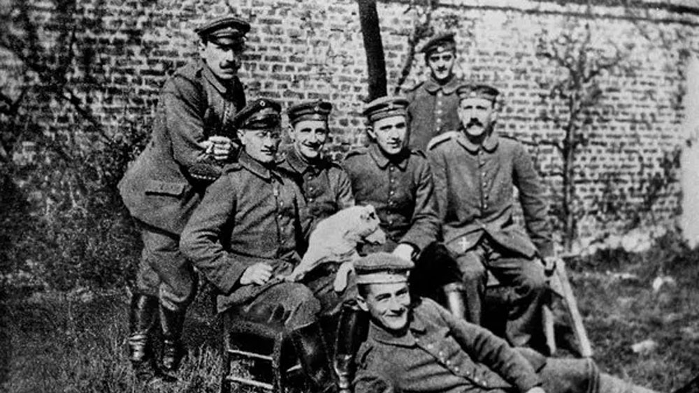 পোল্যান্ডের রোজটোকার একটি প্রাসাদেও গুপ্তধনের সন্ধান মিলেছে। কিন্তু নথি অনুযায়ী, ওই প্রাসাদের কুয়োর ৬৪ মিটার গভীরে ওই গুপ্তধন লুকনো রয়েছে। যা খুঁড়ে বার করা দুঃসাধ্য।