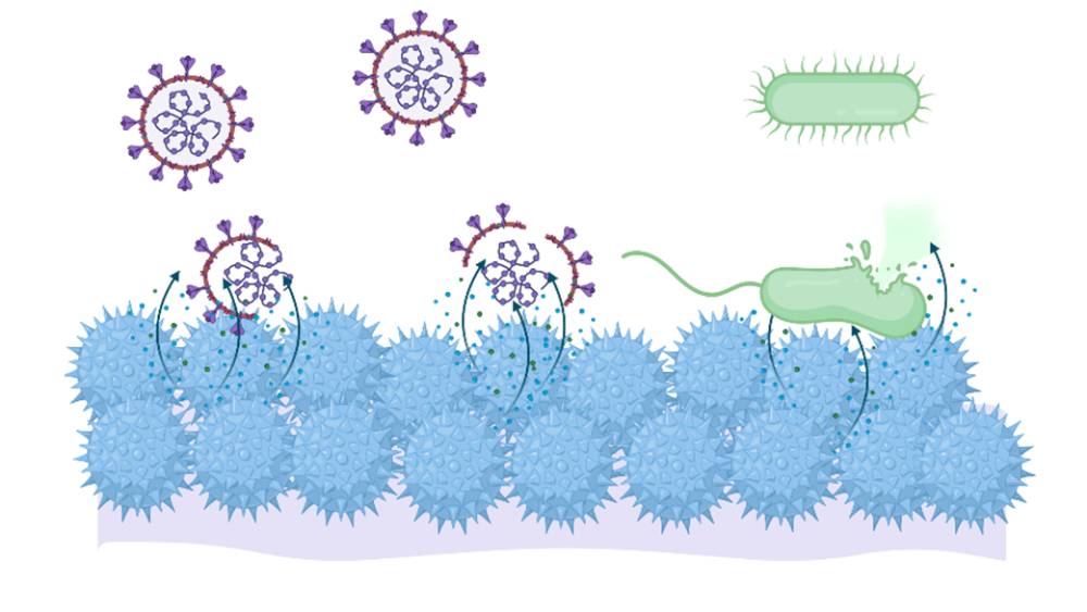 তৃতীয় ধাপ। এই ভাবে তড়িত আবেশে কাছে টেনে ক্ষুদ্রাতিক্ষুদ্র পলিমারগুলি (নীল গোলক) মেরে ফেলে ভাইরাস (বেগুনি), জীবাণুদের  (সবুজ)। গ্রাফিক সৌজন্যে- হায়দরাবাদ আইআইটি।