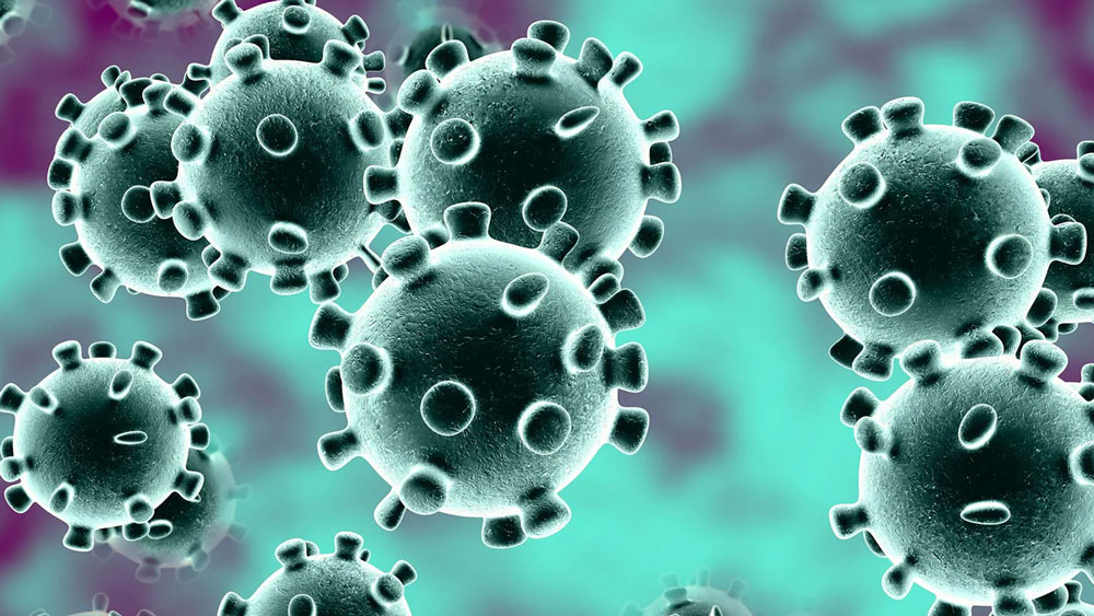 আর যদি ৩৫ সাইকেলের মধ্যেই জীবাণুর উপস্থিতি ধরা পড়ে তা হলে তিনি কোভিড পজিটিভ।