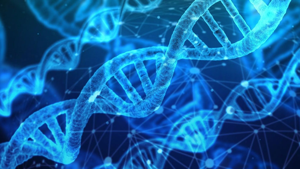 ওই মাপকাঠি হল ৩৫ সাইকেল। পলিমিরেজ চেন রিয়্যাকশনের ৩ সাইকেলের পরও যদি কোভিড ১৯-এর জীবাণু না মেলে তা হলে চিকিৎসকেরা ধরে নেন তিনি কোভিড নেগেটিভ।