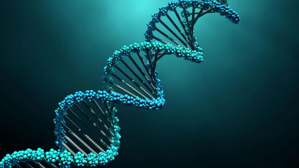 কতটা পরিমাণ ডিএনএ তৈরি হলে ওই ব্যক্তি করোনা পজিটিভ কি না জানা সম্ভব? এর জন্য গবেষকরা একটি মাপকাঠি স্থির করেছেন।