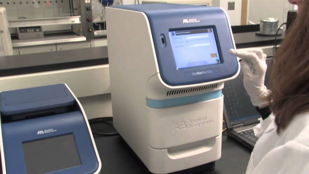 এর পর আসে দ্বিতীয় ধাপ। ডিএনএ-র সংখ্যা বাড়ানোর ধাপ। এর জন্য নির্দিষ্ট যন্ত্র রয়েছে। সেই যন্ত্রে উৎসেচকের সাহায্যে এই কাজ করা হয়।