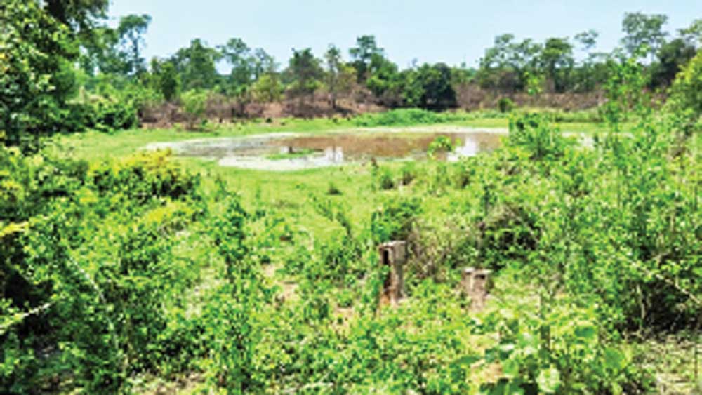 Coronavirus in West Bengal: Indian railway wants to make separate crematorium for cremation of COVID-19 patients in Adra
