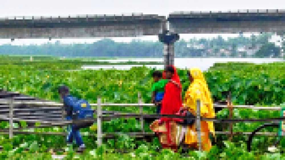 speculation regarding development of Domkal after winninig of TMC from 3 seaqts