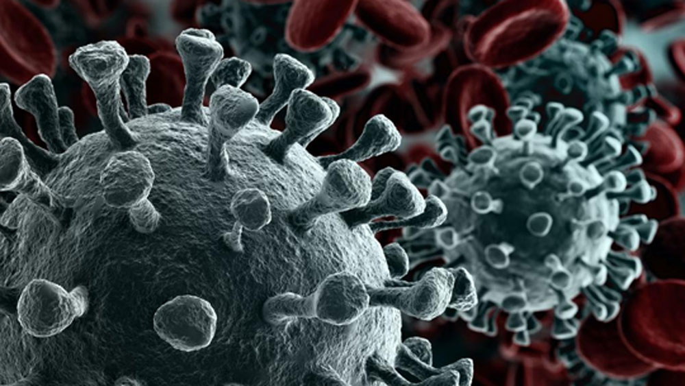 সেই অভিজ্ঞতা থেকে শিক্ষা নিয়ে তাই নিজের আবাসনের সমস্ত সদস্যের জন্য কোভিড কেন্দ্র গড়ে তুলতে উদ্যোগী হন তিনি।