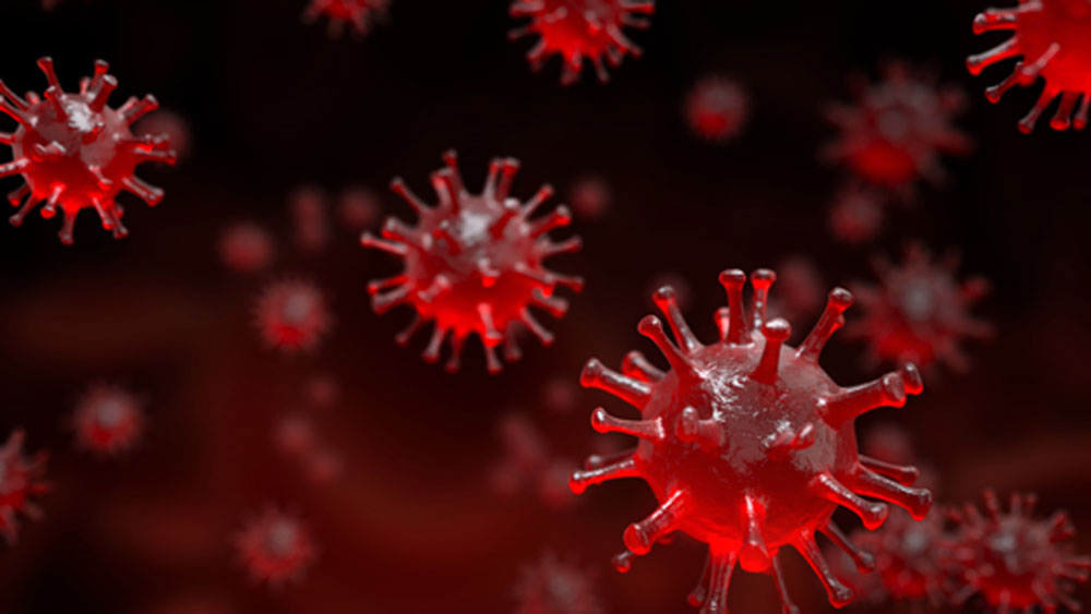 তিনি গুরুগ্রামের সেক্টর ২৮-এর বাসিন্দা বিশাল সিংহ। ৪৭ বছরের বিশাল বিত্তবান মানুষ। দিল্লি এবং উত্তরপ্রদেশের একাধিক স্কুলের মালিক তিনি। যথেষ্ট প্রভাবশালীও। তা সত্ত্বেও বাবার জন্য কিছু ব্যবস্থা করে উঠতে পারছিলেন না।