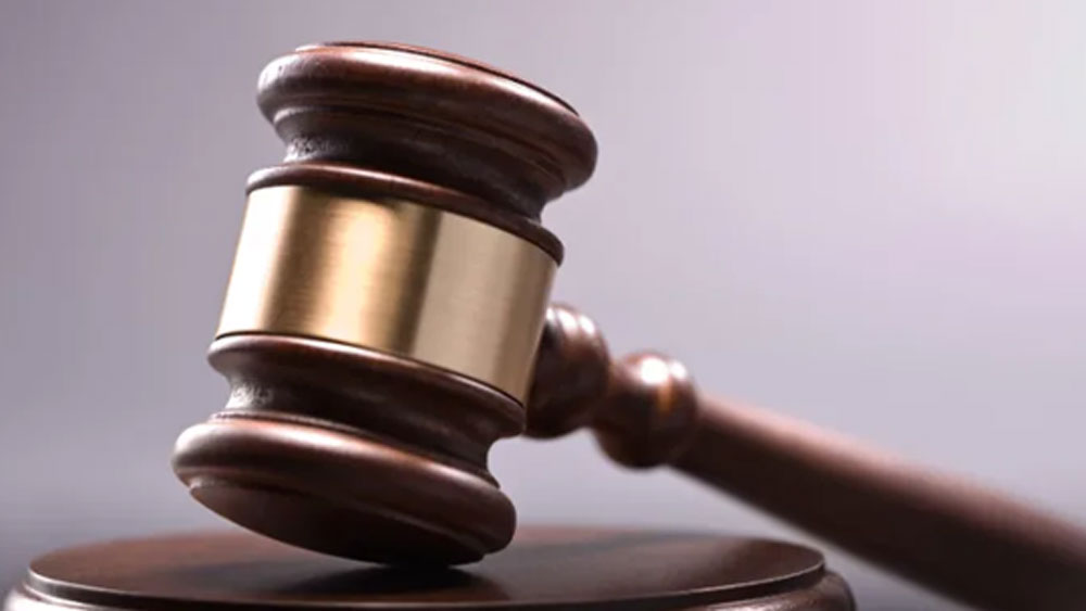 কুকুরটির নাম ছিল ডর্মি। অন্তত ১৪ বিড়ালকে ‘খুনের অভিযোগ’ মাথায় খাঁড়ার মতো নাচছিল তার।