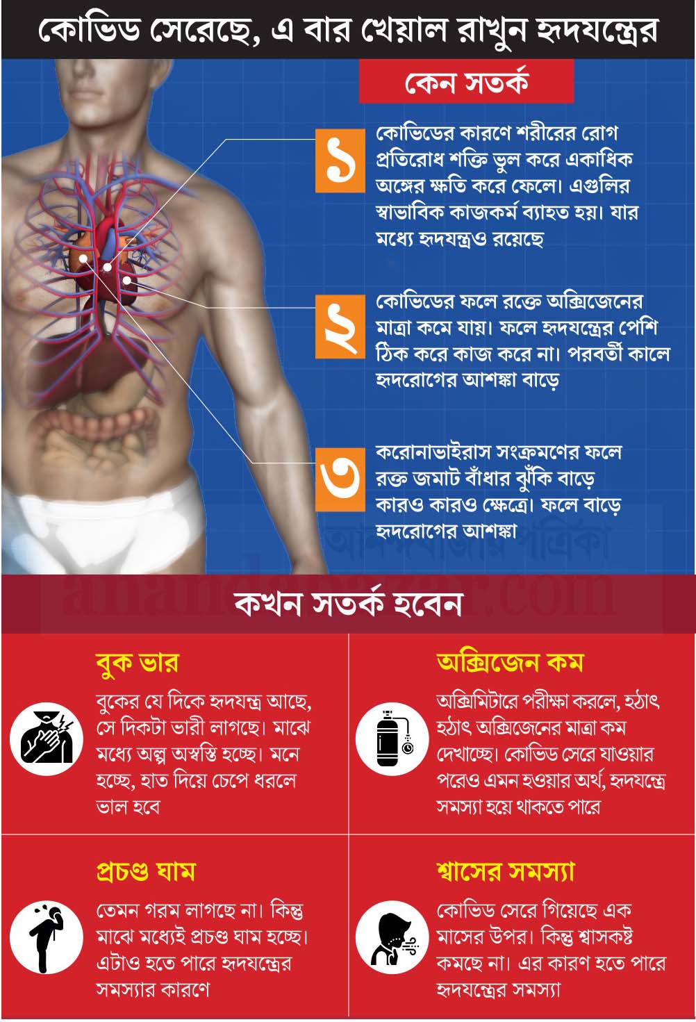 গ্রাফিক: শৌভিক দেবনাথ