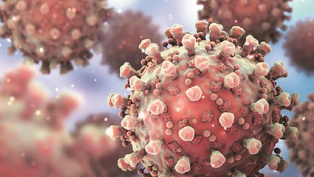 এমনকি কোভিড আক্রান্ত হলে শরীরে যে সমস্ত লক্ষণ দেখা যায়, তার কোনওটি এখনও কোনও গ্রামবাসীর মধ্যে দেখা যায়নি বলেই দাবি।