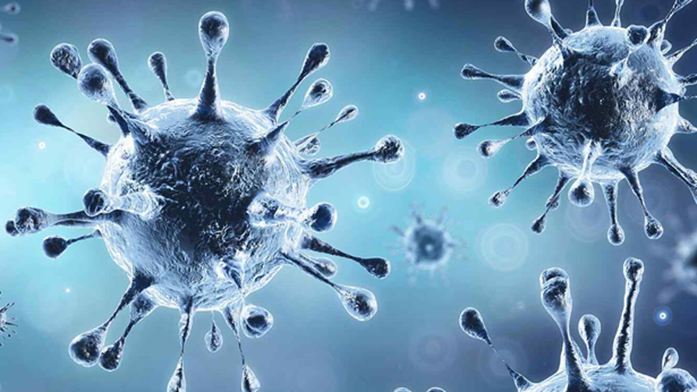 এমনকি সংক্রমণ যাতে না ছড়িয়ে পড়ে তাই গত বছর থেকেই গ্রামে কোনও বিয়ের অনুষ্ঠানও হয়নি। গ্রামের তরুণরা রোজ নিয়ম করে গ্রামের রাস্তাঘাট পরিষ্কার করেন।