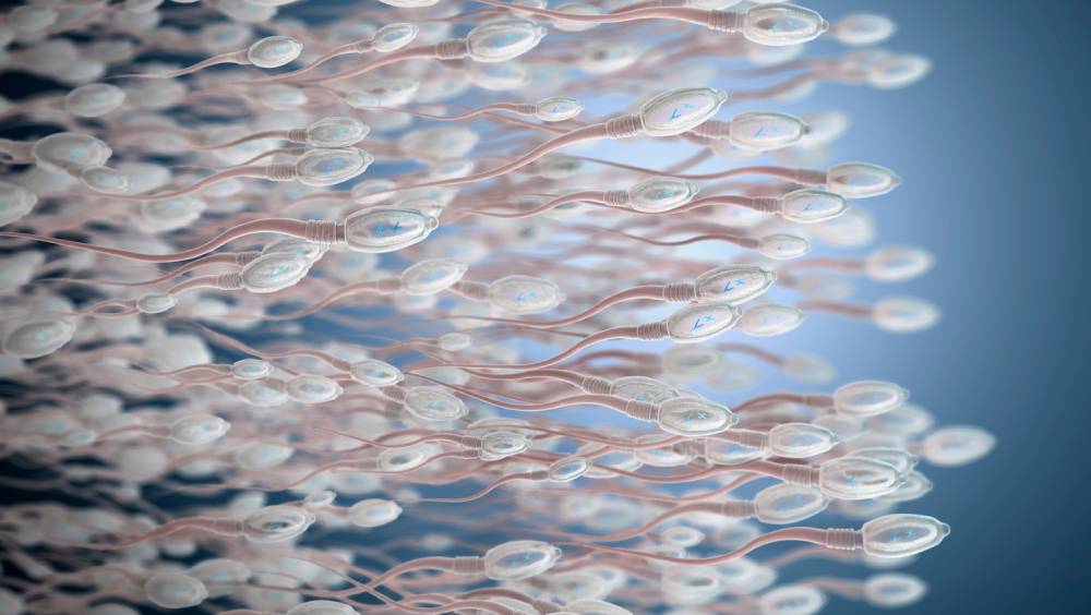 প্রোটিনটিকে যদি কোনও ওষুধ দিয়ে আটকে বা বেঁধে ফেলা হয় তা হলে দূষণের কারণে শুক্রাণুর সংখ্যা কমবে না। -ফাইল ছবি।