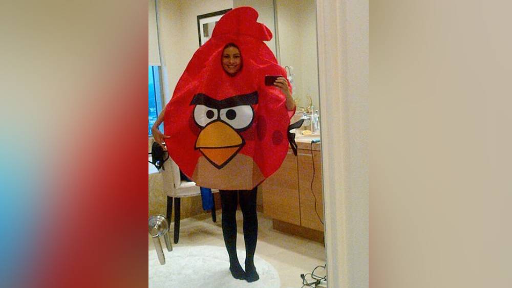 সোফিয়া ভেরগারা: কয়েক বছর আগে ‘অ্যাংরি বার্ড’ সেজেছিলেন অভিনেত্রী। যদিও নেটদুনিয়ায় খুব একটা প্রশংসা পায়নি তাঁর এই অন্য রকমের উদ্যোগ।