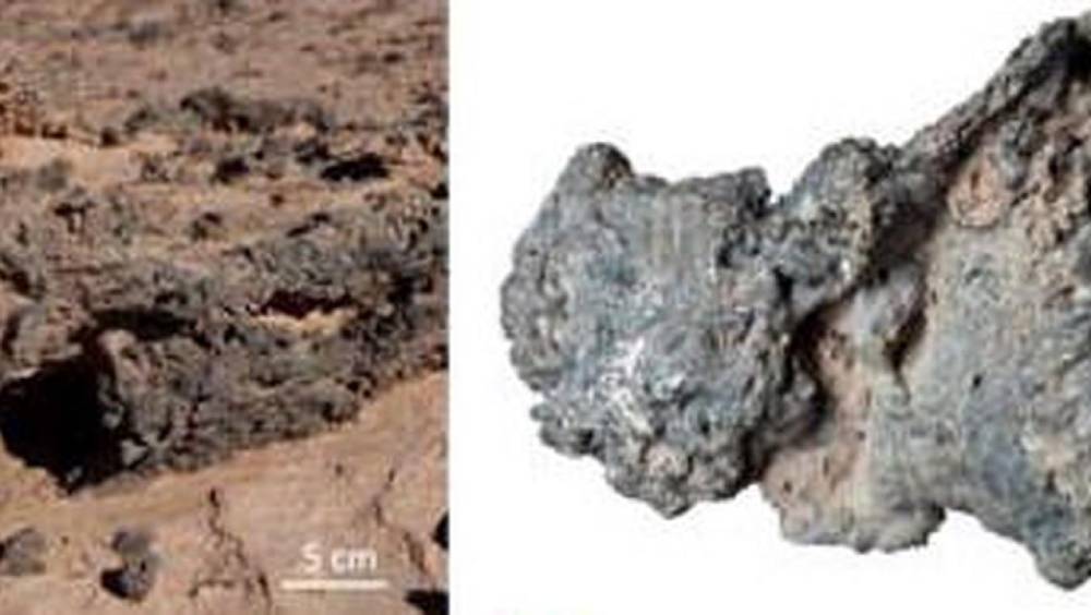 কাচের টুকরো থেকে মিলেছে পৃথিবীর বাইরের ভিন্‌ মুলুকের এই সব পদার্থ। ছবি- ‘জিওলজি’ জার্নালের সৌজন্যে।