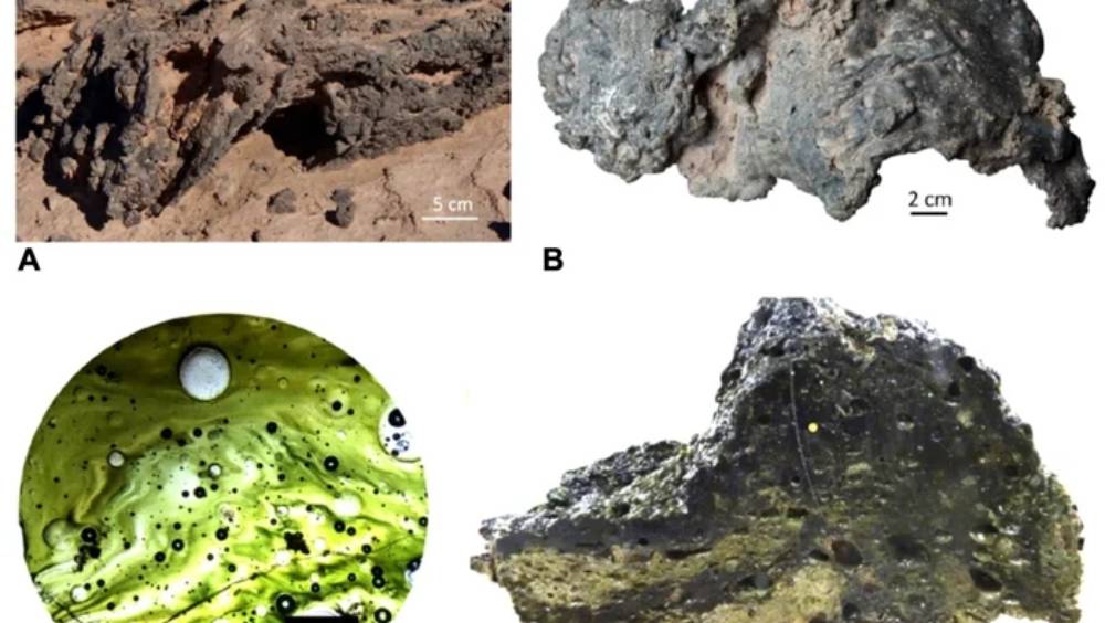 মিলেছে পৃথিবীর বাইরে থেকে আসা এই সব পদার্থও। ছবি- ‘জিওলজি’ জার্নালের সৌজন্যে।