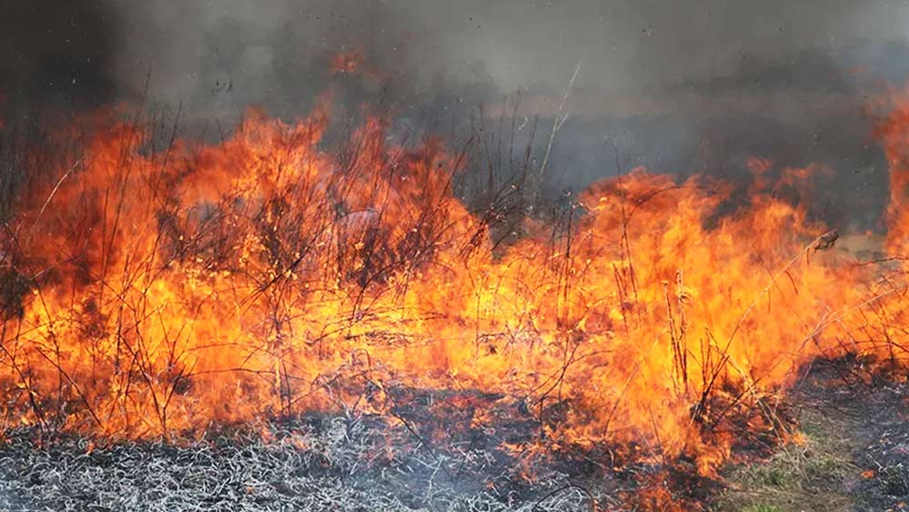 ধানের গোড়া, নারকেলের ছোবড়া থেকে শক্তি উৎপাদনে সক্ষম বিদ্যুতের তৈরি যন্ত্র। কফি মেশিনের মতো কাজ করে সেটি। ওই যন্ত্রে নিয়ন্ত্রিত তাপমাত্রায় কৃষিজমির বর্জ্য ঝলসিয়ে তা থেকে জ্বালানি, সার তৈরি করা সম্ভব। এই সব জিনিস পরবর্তী কালে কৃষিকাজেই ব্যবহার যাবে।