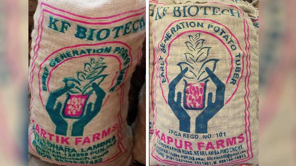 লোগো এক অথচ নাম আলাদা। এর আড়ালেই চলছে আলুবীজের কালোবাজারি।