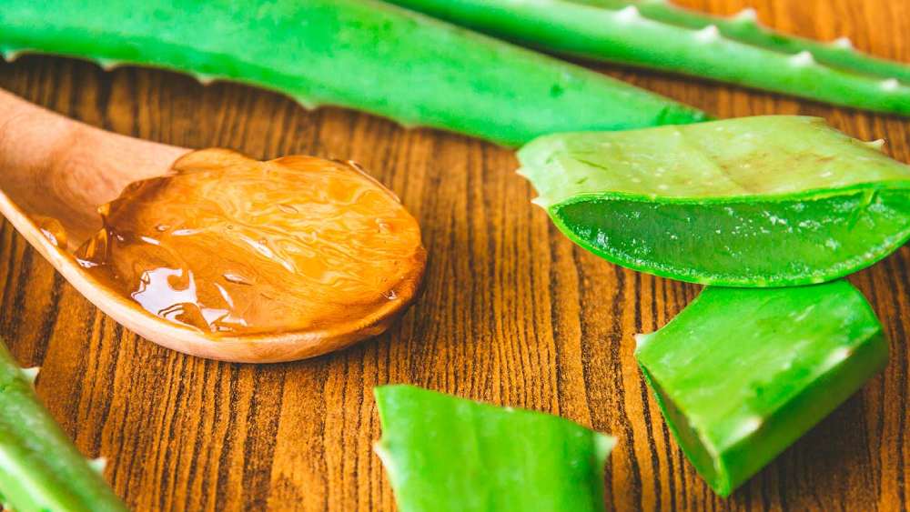 প্রতীকী ছবি