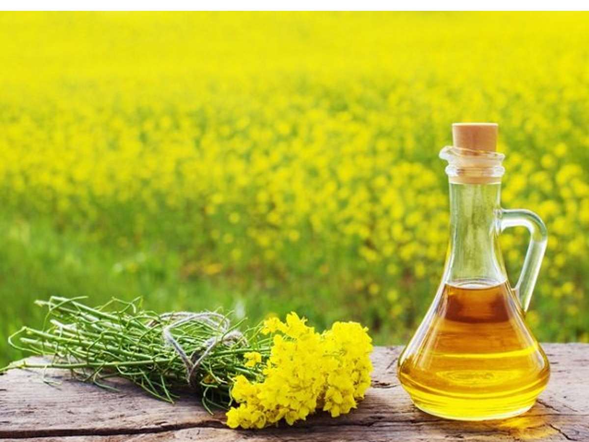 স্বাদ বাড়াতে সর্ষের তেলে রান্না করছেন? কী হচ্ছে এর ফলে 