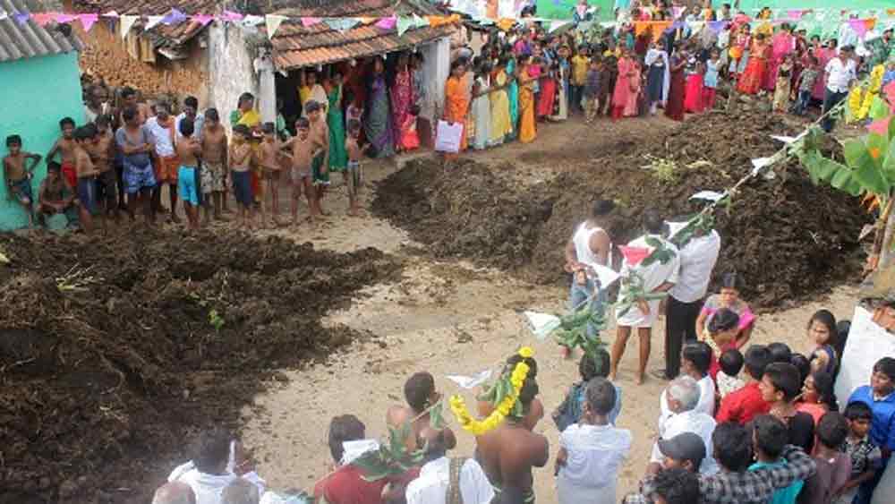‘যুদ্ধ’ শুরুর আগে প্রচুর ট্রাক ও ট্রলি বোঝাই গোবর নিয়ে যাওয়া হয় একটি ফাঁকা মাঠে। সেখানেই সকলের সংগৃহীত গোবর একে একে ঢালা হয়।