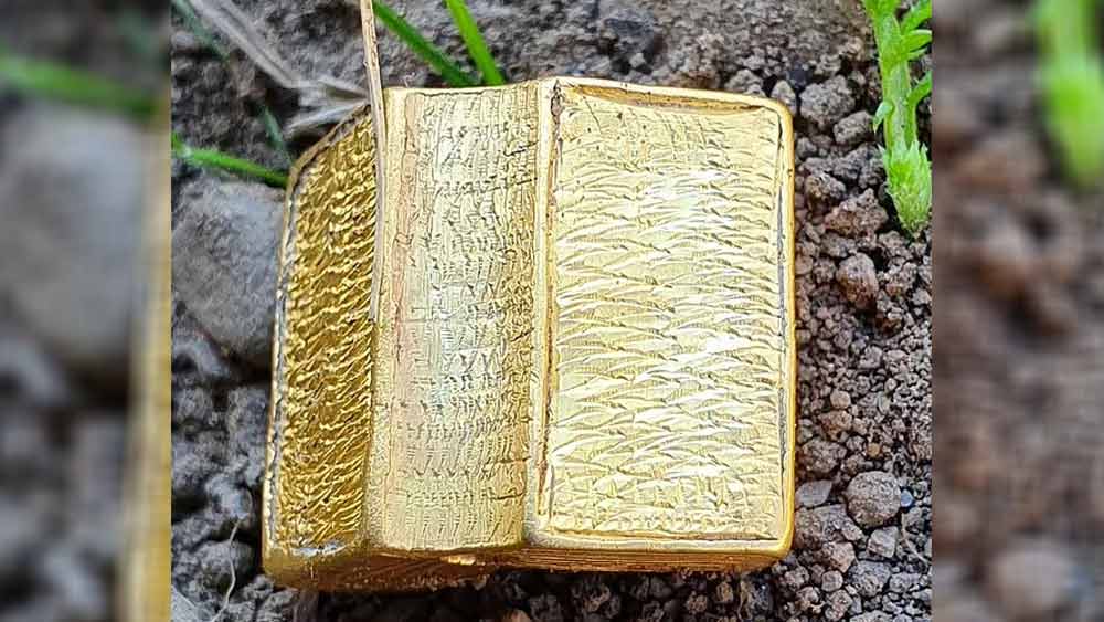 সেই ছোট সোনালি রঙের জিনিসটিই যে পরবর্তীকালে দুর্মূল্য সোনার বাইবেল হতে চলেছে তা ঘুণাক্ষরেও টের পাননি দু’জনে।