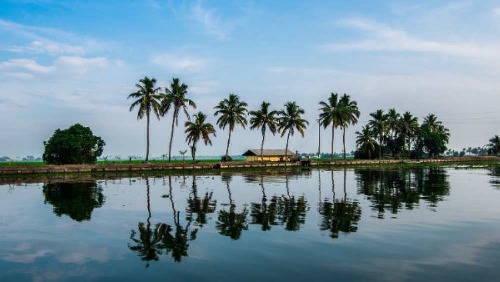 কোচি: ডিসেম্বরে কোচির বন্দরে কার্নিভ্যালের আয়োজন করা হয়। প্রচুর পর্যটক আসেন। তা ছাড়া সৈকতে নানা ধরনের খেলাধূলার ব্যবস্থাও হয় শীতে। তাই ডিসেম্বরে যেতে পারেন এই বন্দর শহর। 
