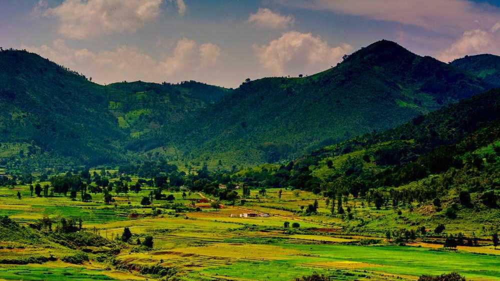 আরাকু উপত্যকা: ডিসেম্বরে ঘোরার জন্য খুব ভাল জায়গা। নানা ধরনের অনুষ্ঠানে লেগেই থাকে শীতকাল জুড়ে। 