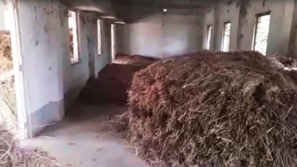 পার্টি অফিসের ভিতরে এখন বিচালির স্তূপ।