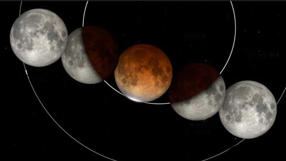 যে পথ ধরে যে ভাবে পৃথিবীর প্রচ্ছায়া ও উপচ্ছায়া এলাকায় ঢুকবে ও সেই দু’টি এলাকা ছেড়ে বেরবে চাঁদ। ছবি- নাসার সৌজন্যে।