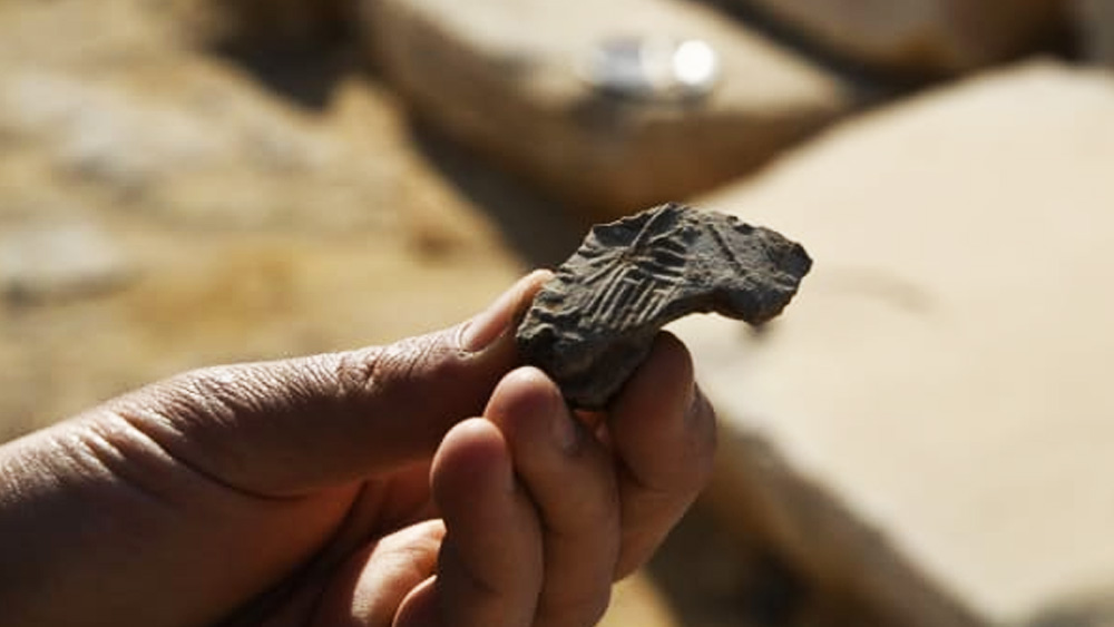 সূর্যমন্দির থেকে এ ছাড়াও আরও অনেককিছু জানা যাবে বলে অনুমান নুজলোর। তিনি বলেছেন, সেই সময়ে মিশরীয়রা কী ভাবে জীবন যাপন করতেন, কী খেতেন, কী পান করতেন এ সবও জানা যাবে ওই মন্দিরের ধ্বংসাবশেষ থেকে। এখন শুধু মন্দিরটির খননকাজ সম্পূর্ণ হওয়ার অপেক্ষা। 