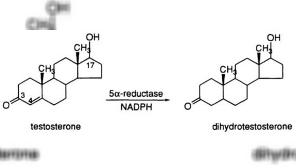কিন্তু এই উৎসেচকের ঘাটতি দেখা দিলে টেস্টোস্টেরন-এর বিপাক ঘটিয়ে তাকে ডিহাইড্রোটেস্টোস্টেরন-এ পরিণত করার জৈবিক ক্রিয়াটি ব্যাহত হয়ে থাকে এবং শরীরে টেস্টোস্টেরন হরমোনের উপস্থিতির জন্য পুরুষের বৈশিষ্ট প্রকাশ পায়।