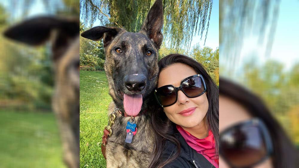 পড়াশোনা শেষ হওয়ার পর বলিউডে। ১৯৯৭ সালে শেখর কপূরের সঙ্গে পরিচয়। তাঁর সূত্রে ‘দিল সে’ ছবিতে প্রীতির আত্মপ্রকাশ। শেখর কপূরকে প্রীতি ‘মেন্টর’ মনে করতেন।