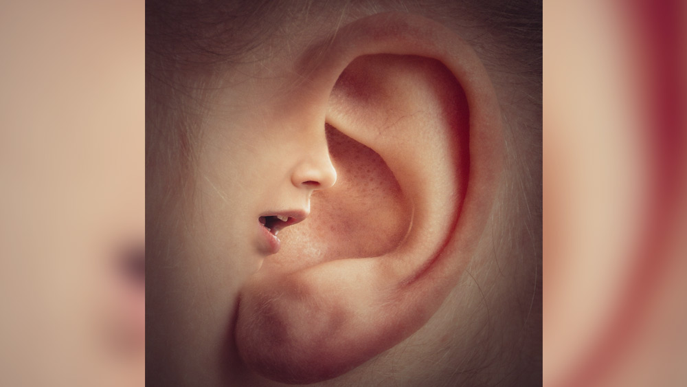 সনাতন ধর্মে বাক্য সংক্রান্ত পাপগুলি এই প্রকার— কুবাক্য কথন, মিথ্যাভাষণ এবং অযথা কথা বলা।