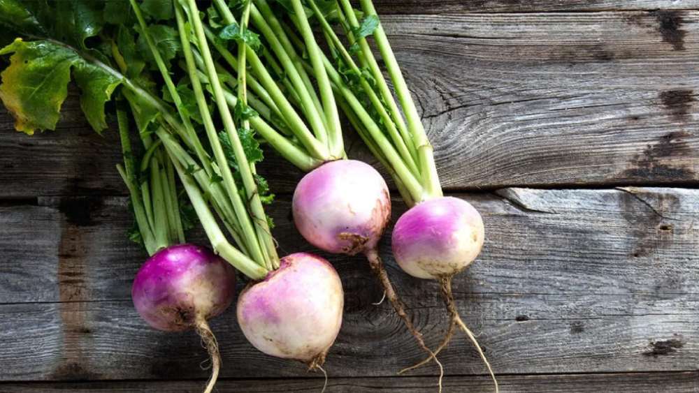 ইরান: জ্বর সারাতে ইরানে শালগম খাওয়ার রেওয়াজ আছে। এতে প্রচুর পরিমাণে ভিটামিন সি রয়েছে। যা রোগ প্রতিরোধ শক্তি বাড়াতে সাহায্য করে। 