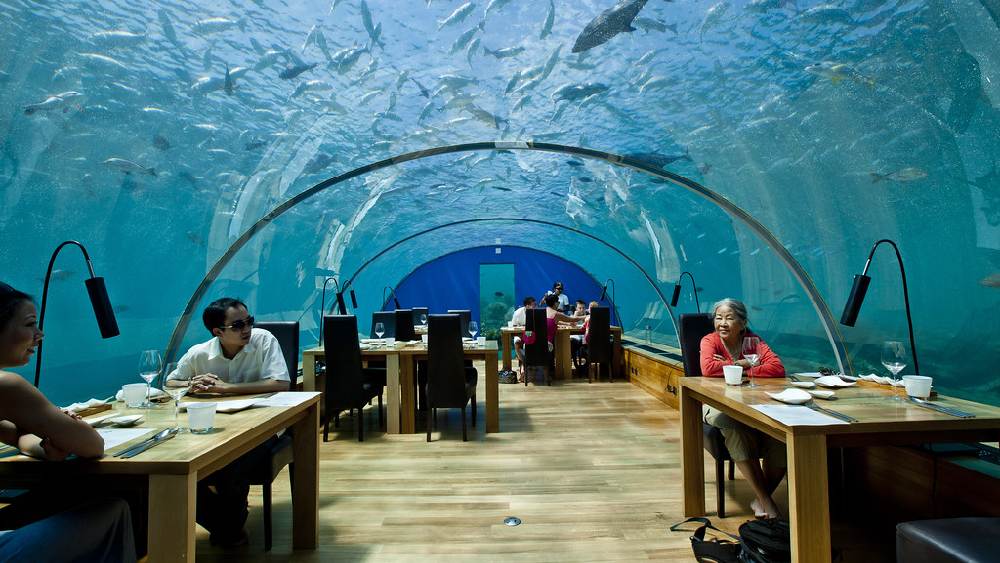 ইতহা আন্ডারসি রেস্তরাঁ, মলদ্বীপ: সমুদ্রের তলার একটি রেস্তরাঁ। দেওয়াল কাচের। খেতে খেতে দেখতে পাবেন পাশ দিয়ে ভেসে যাচ্ছে নানা রকম মাছ। এমন অভিজ্ঞতার জন্য আপনাকে যেতে হবে মলদ্বীপের এই রেস্তরাঁয়।