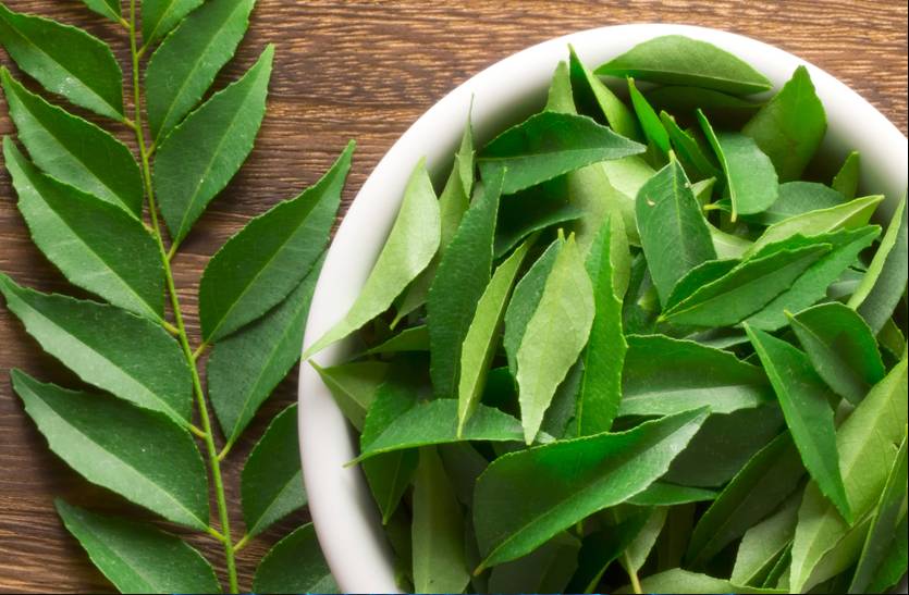 কারি পাতা চুলকে ঘন করে।