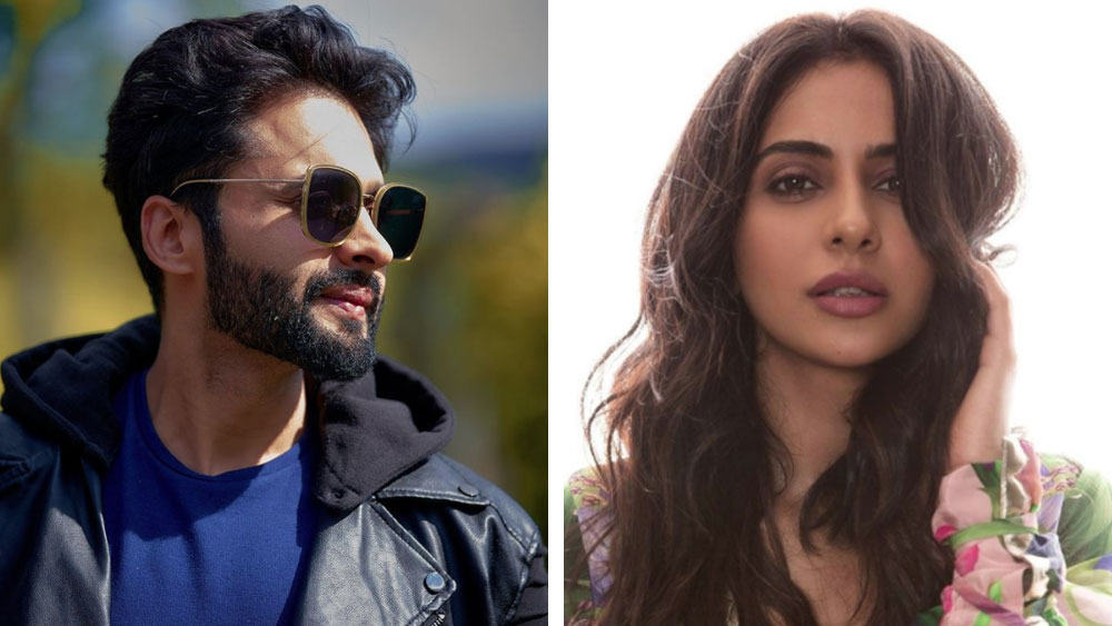 এ সব বিতর্ক পেরিয়েই আপাতত নিজের শর্তে রকুলের সঙ্গে দিন কাটাচ্ছেন জ্যাকি। একই সঙ্গে সামলাচ্ছেন কাজের ব্যস্ততা।