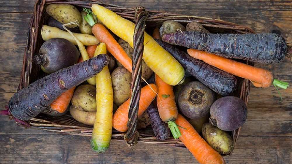 প্রতীকী ছবি।