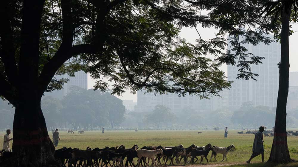 ঋণস্বীকার: ‘কলকাতা’: শ্রীপান্থ, ‘কলিকাতা দর্পণ’: রাধারমণ মিত্র, কলিকাতার ইতিবৃত্ত ও অন্যান্য রচনা: প্রাণকৃষ্ণ দত্ত (দেবাশিস বসু সম্পাদিত), (ছবি: আর্কাইভ, শাটারস্টক ও সোশ্যাল মিডিয়া।)