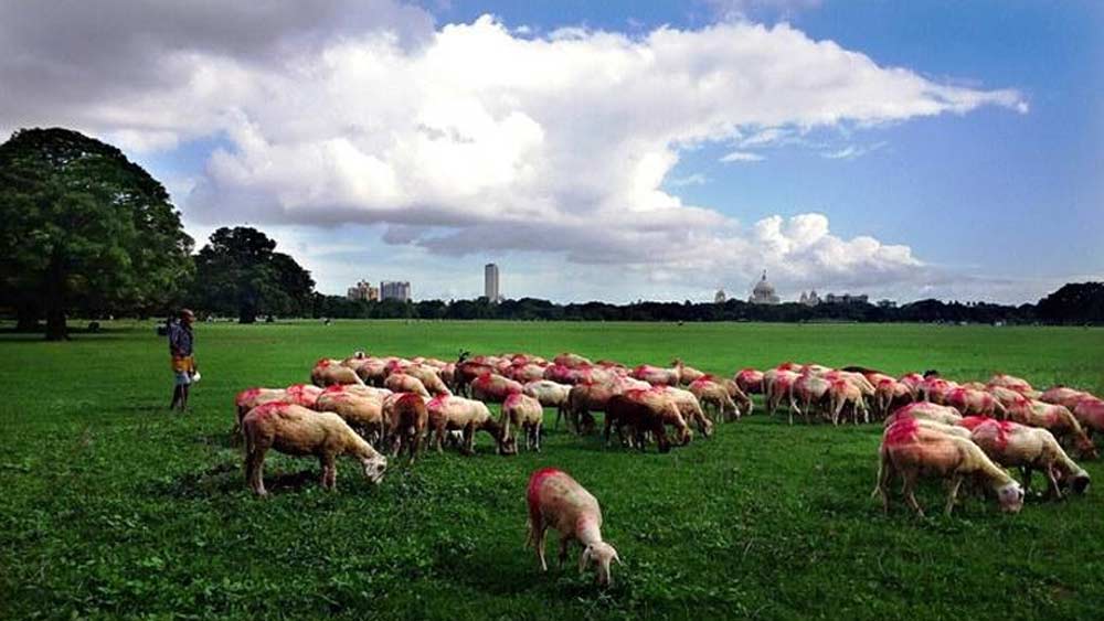 গড়ের মাঠের কাছেই ছিল সে কালের চৌরঙ্গি গ্রাম। যোগী সাধক চৌরঙ্গি গিরির নাম থেকেই সে জনপদের নামকরণ।তবে সেই গ্রাম আর হুগলি নদীর মাঝে অন্তরায় ছিল ঘন জঙ্গল। সেই বন ছিল বাঘের ডেরা। ক্রমে সেই জঙ্গলও কেটে সাফ করা হয়। সেই জায়গাও অন্তর্ভুক্ত হয় গড়ের মাঠের মধ্যে।