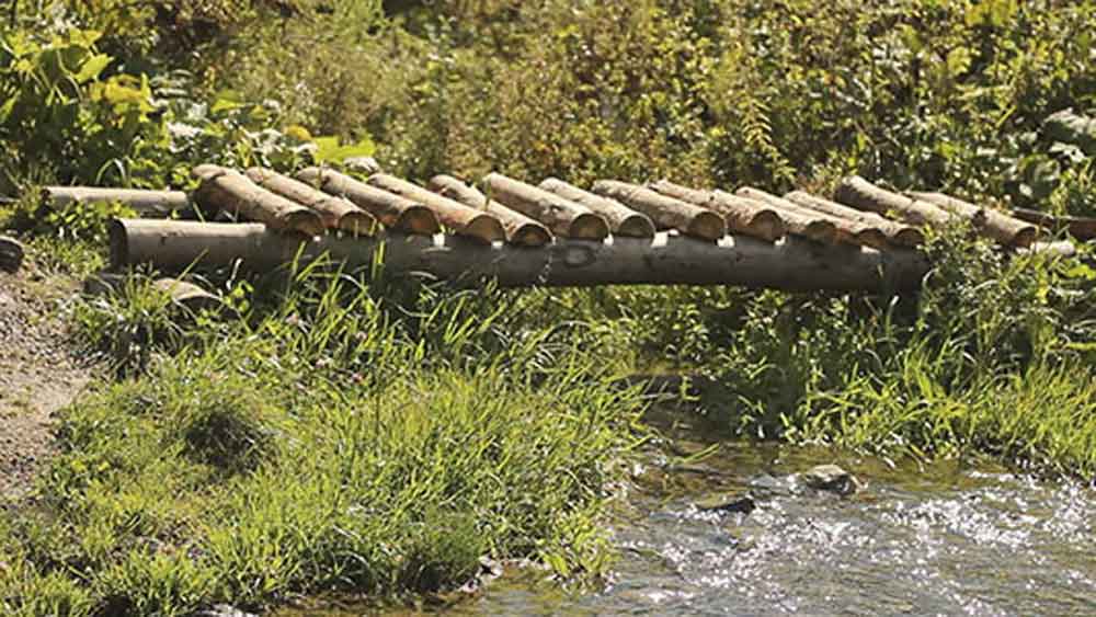 খাঁড়ির উপরেই ছিল দু’টি বা তিনটি সাঁকো। আঠেরো শতকের শুরুতে সেই সাঁকো দিয়ে দিনভর চলত লোক পারাপার। আজ যেখানে হেস্টিংস স্ট্রিট, সেখানে যে সাঁকো ছিল, সেটি দিয়ে সন্ত জনের গির্জা থেকে গোবিন্দপুর অবধি যাতায়াত করা হত। এই খাল ছিল সাবেক কলকাতার সীমারেখা। এর দক্ষিণে ছিল গোবিন্দপুর। অনেকের মতে, এই খাঁড়ি বা ‘খাল কাটা’ থেকেই কলকাতা নামের উৎপত্তি।(ছবি: সোশ্যাল মিডিয়া)