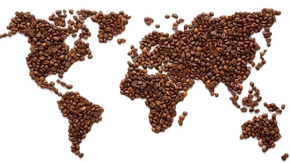 পৃথিবীর নানা প্রান্তে কফি যত বেশি করে ছড়িয়ে পড়েছে, তত বেশি করে শুরু হয়েছে পরীক্ষা নিরীক্ষা। আর সেই কারণেই নানা দেশে নানা ধরনের কফি পাওয়া যায় এখন। দামের নিরিখেও এগুলিতে বিস্তর ফারাক। সবচেয়ে দামি কফি কোনগুলি, দেখে নেওয়া যাক।