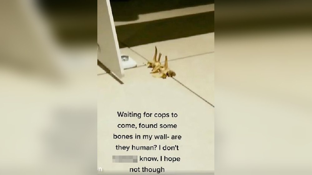 টিকটকে দেওয়া ভিডিয়োর একটি দৃশ্য। 