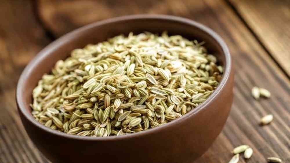 প্রতীকী ছবি।