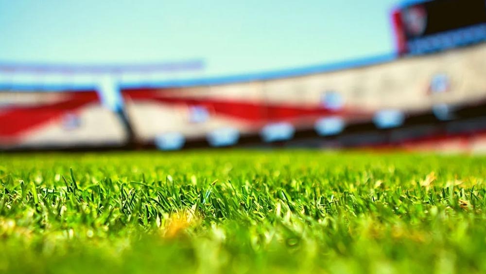 ক্রিকেট ব্যাটে বল লাগার শব্দ নেই, গ্যালারি থেকে দর্শকদের চিৎকার নেই। উপরন্তু লঙ্কা থেকে লাউ— সবই ফলে রয়েছে সেখানে। বাইরে থেকে দেখে যা স্টেডিয়াম, ভিতরে প্রবেশের পর তা কোনও ভাবেই বোঝা সম্ভব নয়। বরং মনে হবে যেন কোনও চাষের জমি।