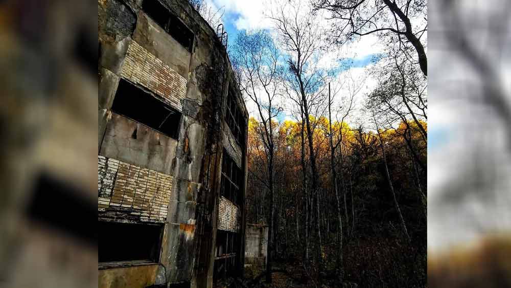 পরিস্থিতি এমনই দাঁড়িয়েছে যে, জাপানের বহু বাড়ি আজ পরিত্যক্ত। সেই সমস্ত বাড়ির মালিকের কোনও খোঁজ নেই। বহু খুঁজেও বাড়ির কোনও দাবিদারের সন্ধান মেলেনি। ফলে সেই সমস্ত বাড়ি দীর্ঘ দিন পড়ে থাকায় নষ্ট হয়ে যাচ্ছে। 