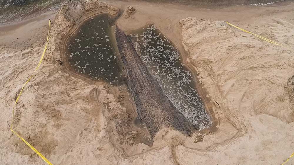 অবশ্য এত কিছুর জানার পরও জাহাজটি উদ্ধারে আর আগ্রহ দেখাননি লাটভিয়ার ন্যাশনাল কালচারাল হেরিটেজ বোর্ড। জাহাজটি সংরক্ষণ করার জন্য উদ্ধার হওয়া অংশটিকে ফের বালি চাপা দিয়েছেন তাঁরা।