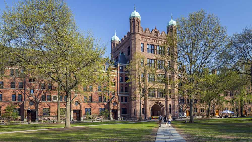 ইয়েল বিশ্ববিদ্যালয়। ধনকুবের ছাত্র ২১ জন।  একদা ওয়াল্ট ডিজনি সংস্থার সর্বাধিক শেয়ারের মালিক সিড বাস পড়াশোনা করেছেন ইয়েলে। তেল শিল্পের প্রথমসারির শিল্পপতি সিড রিচার্ডসনের উত্তরাধিকারী বাস-রা চার ভাই সিড, এডওয়ার্ড, রবার্ট এবং লি। এঁরা প্রত্যেকেই ইয়েলের ছাত্র। এ ছাড়া ২১ জন ধনকুবের ছাত্রের  মধ্যে রয়েছেন আলিবাবার সহ প্রতিষ্ঠাতা জো সাই-ও। ধনকুবের ছাত্রদের মোট সম্পদ ১৪ হাজার আট কোটি ডলারের।